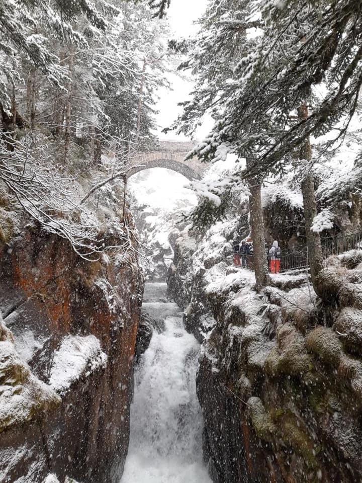 Au Dessus Des Toits Daire Cauterets Dış mekan fotoğraf